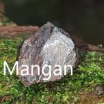 bästa mangan utvald